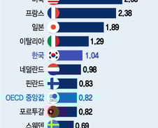 "비싼 집에 사시네요. 주민세 더 내세요"...어느 나라?