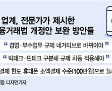"겸영업무 네거티브로...빅테크·핀테크 차등 규제"