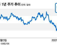 씨티 "GM, 1년내 상승 여력 2배 이상"…테슬라와 경쟁될까[오미주]