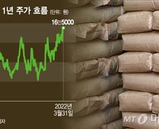 '톤당 7.8만원->9만원->11만원?' 시멘트 쇼크···오르는 시멘트株