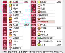 [더차트]'★들의 전쟁' 카타르WC, 참가국 FIFA 랭킹 순위는?