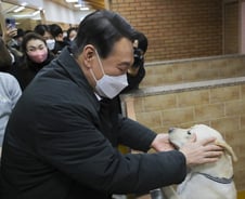 [단독]尹·文도 키우는데…방부제 없다던 그 사료들 '허위광고' 조사