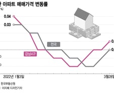 강남재건축 단숨에 16억 급등..집값 올리는 재건축 "무슨 소용?"