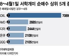 3배 상승 베팅했다 8일간 27% 손실…반도체주 급락 왜?[오미주]