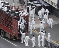 [기자수첩]中 봉쇄령 불똥 튄 식품기업