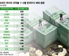 삼성전자·카카오 '국민株 추락'…배경엔 10조 단타친 외국인