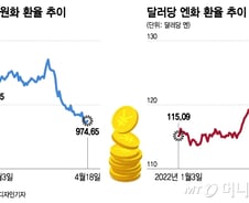 '엔화 줍줍'으로 과거 110% 수익, 다시 한번?…"지금은 다르다"