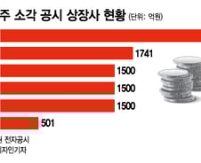 주주환원의 꽃 '자사주 소각'…9000원→4.5만원, 주가 불 붙었다