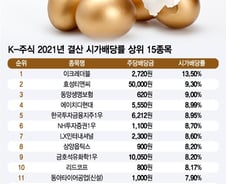 "1억원 넣어 1000만원 받는다" 연 10% 배당에도...주가는 왜?
