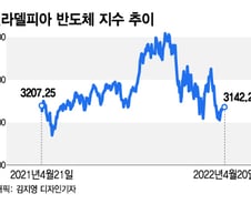 반도체, 지옥문이 열렸다?…더 하락한 엔비디아·AMD[오미주]
