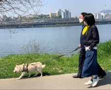 무능한 정치, 바보 관료…접시를 깰 수 있을까[우보세]