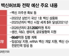 "정부, SK바사 백신에 숟가락 얹지 말고"…전문가들 팩폭 조언