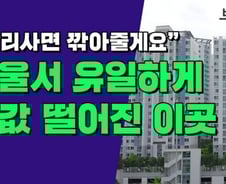 [부릿지]"빨리 사면 깎아줘요" 급매에 2억 '뚝'…서울 대단지도 휘청