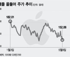 "안전한 주식, 애플이 무너져야 美 증시 바닥"[오미주]