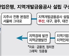 [단독]산은 "지주 전환→지역개발공사 설립"…부산 이전 대안