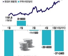 "환율이 1300원 턱밑인데 장사해 손해봤다"...왜?