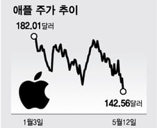 6일간 14% 급락한 애플, 과매도 국면 진입[오미주]