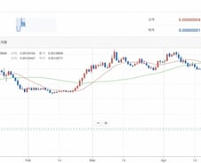 [단독]상폐 되면 어쩌나…국내 BIG4 거래소 "루나 코인 40억개"