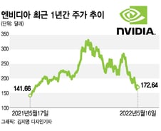 6개월만에 주가 반토막 난 엔비디아…지금이 '매수'인가[오미주]