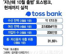 막둥이 자회사지만 중심 '토스뱅크'…최초의 '명암'
