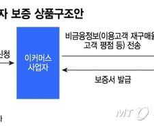 [단독]온라인 소상공인도 쉽게 은행 대출 받는다