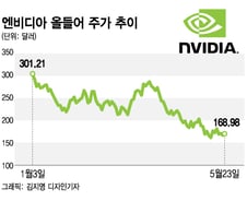 엔비디아, 25일 운명의 날…목표주가 잇따라 하향 조정[오미주]