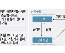 [단독]이자 싼 해외지점 외화로 부동산 꼼수대출…실태조사 착수