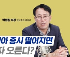 [부꾸미]인도네시아 증시 떨어지면 삼성전자 주가 오른다?