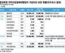 [단독] 코인 2200만개는 106억, 1.3억개는 123억?…지급결제업계 고무줄 자산