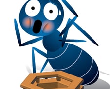 "-1억 손절 안했더니 -2억 됐다" 개미 덮친 '불사신' 인플레의 강림