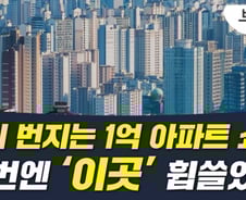 "나홀로 집값 오른 동네"…갭투자자들 1억 아파트 '싹쓸이' [부릿지]