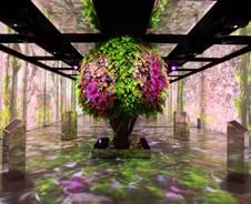 ESG 반세기 선구자 '최종현의 숲'에 새겨진 SK 넷제로 의지