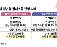 '월급 250만원' 24세, 앞으로 더 벌겠지…주담대 한도 2.2억→3.3억