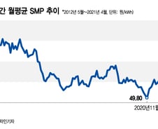 [단독] 전력도매가 상한제,  규제심사위 통과…"이익침해 안해"