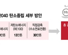 [단독]SK케미칼도 수소로 공장 돌린다···'2040년 넷제로 사활'