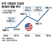 [단독]외환위기 다시 올라…정부, 사모 외화FRN 발행 금지