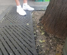 "재앙 맞은 듯 수백마리 사체"…러브버그에 습격 당한 마을 가보니[르포]