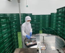 [르포]한끼 4천원 GS25 '갓성비' 도시락, 가격 안 올리는 이유가…