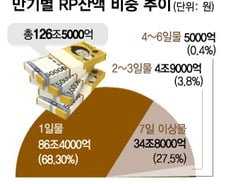 [단독]금감원, RP시장 일일 점검..."하루짜리 RP시장에 87조 쏠렸다"