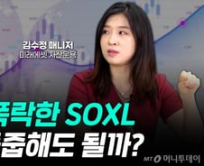 [부꾸미]80% 폭락한 美반도체 '3배 레버리지', 지금이 줍줍 기회?