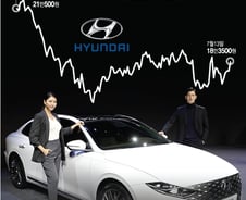 "폭락장서 0%, 5만전자와 달라" 100만 개미의 '방탄주' 현대차