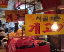 [르포] '복날' 개고기는 어디서 올까? 시장서 버젓이 팔리는 '멍멍이'