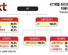 [단독]KT, '우영우' 띄운 스카이TV·미디어지니 합병추진…콘텐츠 시너지↑