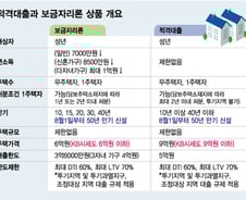 50년 초장기론 무슨 소용?…"'9억 급매' 나와도 대출 못받아요"