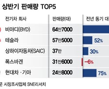 [더차트] 세계 전기차 상반기 판매량 1위·3위 中회사…韓 현대·기아는?