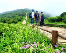 [기고]지리산 기초특별지방정부에 거는 기대