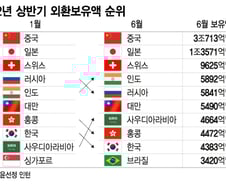 [더차트]외환보유액 세계 1·2위는 中·日…한국은?