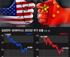 "美·中 반도체 샌드위치"···새우등 터지는 韓삼성전자·하이닉스