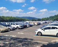 [르포]서울대공원 주차장 꽉 채운 포르쉐·BMW·벤츠…멀쩡해 보인다 했더니