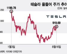테슬라, 주식 분할 전 마지막 매수 기회…너무 비싸다?[오미주]